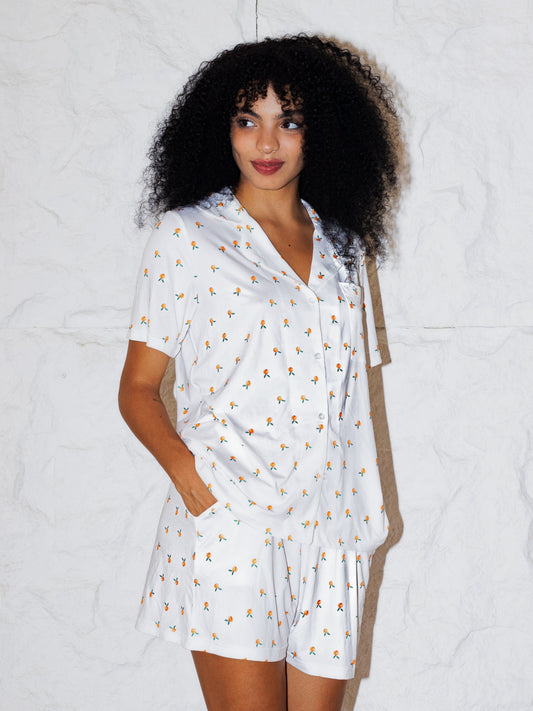 The Clementine Set