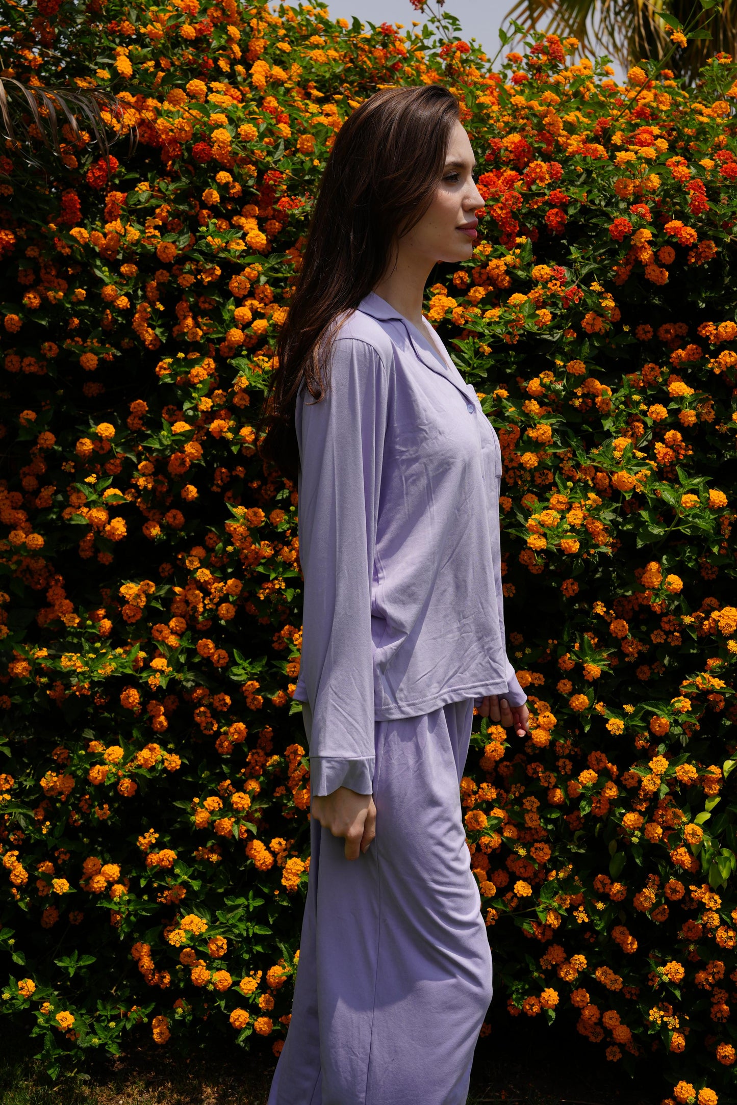 The Lilac Set
