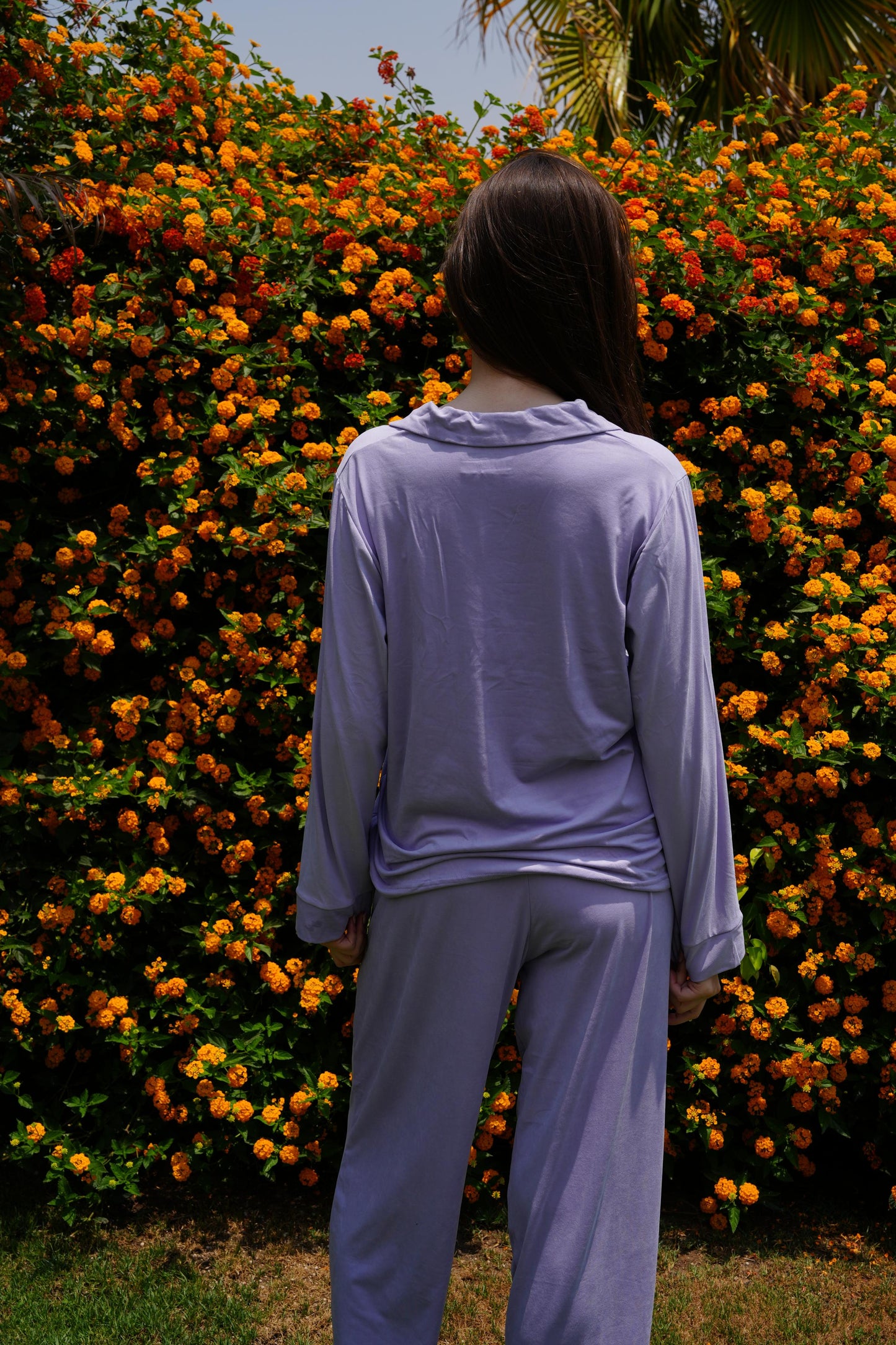 The Lilac Set